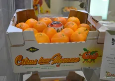 Box of citrus from Asmaa Emballage